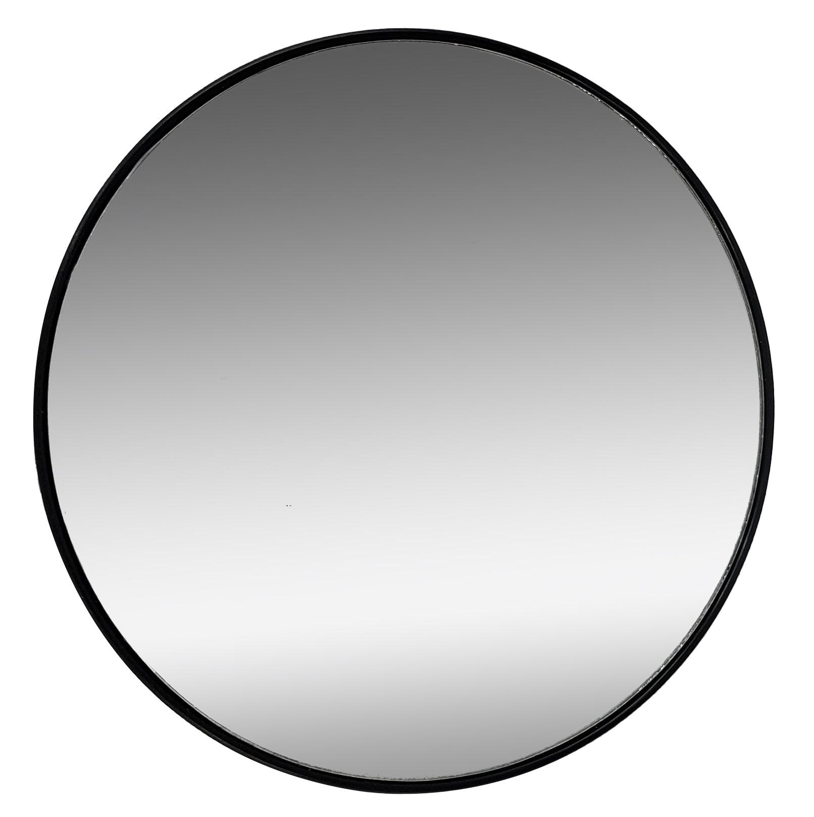 Rucci 5-Inch Round Suction Cup 12X Magnification Mirror (M870)